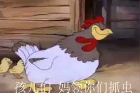 搞笑配音：这鸡妈妈我是服了！笑死了视频封面