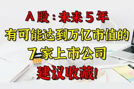 A股：未来5年有可能达到万亿市值的7家上市公司！建议收藏！