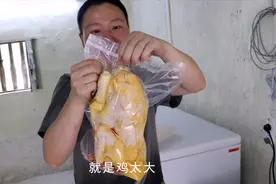 高品质的土鸡，如何做真空保鲜包装及物流，看三兄弟来测试视频封面