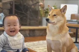 狗狗看小主人吃东西，小主人竟然分享食物给它，画面十分有爱