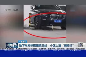 蛇出没！地下车库惊现眼镜王蛇，小区上演“捕蛇记”