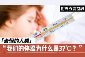 奇怪的人类！我们的体温为什么是37℃？视频封面
