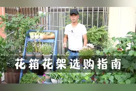 花架花箱选购指南，用惨痛的经验教训，提醒大家避免踩坑视频封面
