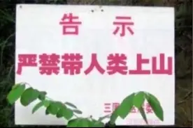 搞笑视频：我看见这个牌子，我就去问工作人员，我说我上山行然后