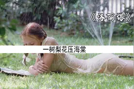 一树梨花压海棠