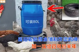 用废旧轮胎制作喂鸡神器，加次粮食能吃半年，省时省力还节约粮食视频封面