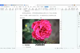 wps文档5种方法插入图片，我最喜欢拖拽插入，简单快捷