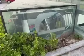 拒绝帮助？福建一女子带娃蜗居地下通道半年，警方：疑有精神障碍视频封面