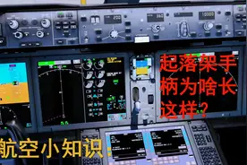 航空小知识：飞机驾驶舱起落架操纵手柄上为什么有个”轮“？视频封面