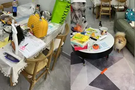 13岁男孩独自生活66天，成功将自己和猫狗喂胖，妈妈回家后笑哭了视频封面