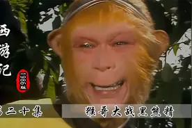 金池长老玩火自焚，黑熊精坐收渔利，猴哥：看我不揍扁你！视频封面