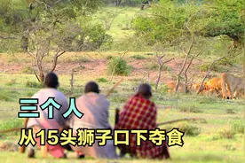非洲人的疯狂狩猎，15头狮子嘴下夺食，爬40米高大树采蜂蜜视频封面