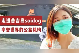 探访普吉岛soidog，享誉世界的流浪狗保护公益机构和他们的故事视频封面