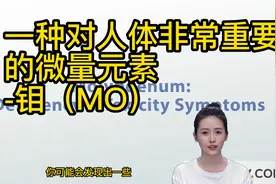 一种对人体非常重要的微量元素-钼视频封面
