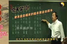 梗米就是糯米的糙米视频封面