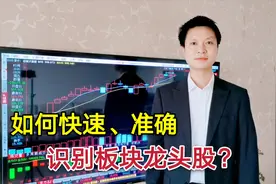 龙头股涨速最快、涨幅最大！教你快速、准确识别出板块龙头的方法视频封面