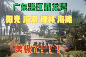 阳光、海浪、椰林、海滩，广东湛江鼎龙湾，美极了！视频封面