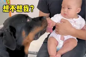 狗狗看到刚出生不久的宝宝，迫不及待就上去亲了一口，简直太可爱