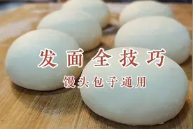 发面加多少水，多少酵母，怎么发的快，面点师教你详细技术要点视频封面