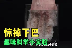 几个可以激发孩子科学思维的小实验，陪孩子一起在实验中涨知识！视频封面