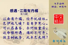 感遇·江南有丹橘 唐代 张九龄 着意表现橘树坚强不屈的精神