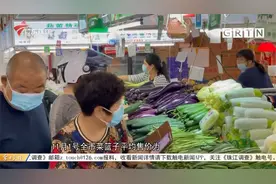 广东向蔬菜企业发出倡议书：稳产 保供 不涨价
