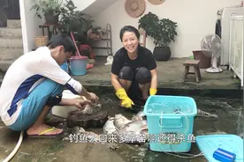 钓鱼爆护后鱼太多怎么办？看钓鱼云姐这样晒鱼干，你有什么建议吗视频封面