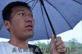 陕北25年最严重的旱情，今天彻底解决，庄稼人的渴望终于盼到了！视频封面