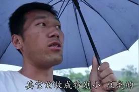 陕北25年最严重的旱情，今天彻底解决，庄稼人的渴望终于盼到了！视频封面