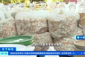 地上养鸡场 地下制烟厂 云南破获特大制售假烟案 涉案价值近亿元视频封面