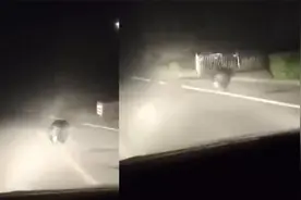 黑龙江伊春深夜惊现黑熊街上狂奔 当地发布提醒小心“熊出没”视频封面