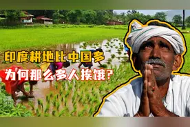 印度坐拥肥沃良田，为何粮食产量远不如中国，还处于重度饥饿？