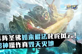 小棉花Top5：斗阵圣佛如来棍法叱咤风云！超神操作真毁天灭地视频封面