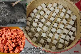 二丫教你用稻草发酵豆腐乳，100年老秘方，7天出白毛，在家就能做视频封面