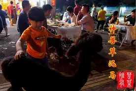 打卡武汉排名第一的烧烤店！老板是位大网红，喜欢养草泥马！视频封面