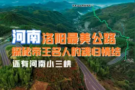 入选河南美丽公路，四季花香野果遍地，洛阳仓青线自驾指南！视频封面