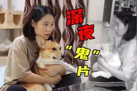 深夜十二点带狗狗看恐怖片，会怎么样？狗：你别碰我！