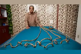 留了45年的长指甲，长度达到9米，这位老大爷是如何做到的？