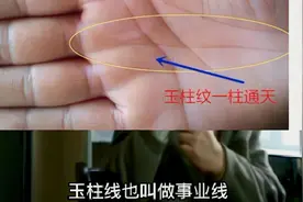 掌纹其实跟工作、经历有关，有玉柱线（事业线）的人往往更认真视频封面