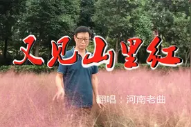 翻唱一首祁隆的经典老歌《又见山里红》,旋律悠扬，勾起思乡之情视频封面