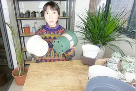 测评一下塑料养花容器，哪些适合养花卉视频封面