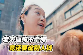 老太太遛狗不牵绳，跑出去咬了人还是别人的错，看到最后解气了视频封面