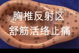 胸椎反射区舒筋活络止痛 主治疾病 胸背痛 胸椎间盘突出