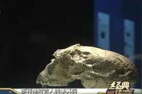 传奇：郧县惊现远古人类化石，专家几经考察， 竟是人类起源地视频封面