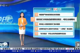 青岛：做细做严做快疫情防控各项措施视频封面