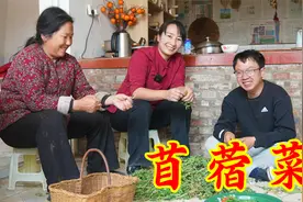 春季野菜美食苜蓿，和土豆一起炒出来清香可口，弟弟吃的有滋有味视频封面