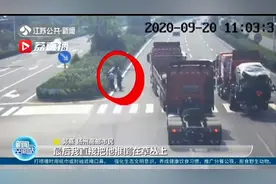 路遇肇事逃逸 父子合力拦截视频封面