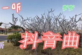 欣赏抖音火了的背景音乐视频封面