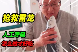 50多厘米铅笔雷龙跳缸暴毙，挽回生命用上人工呼吸，说怎么做好吃视频封面