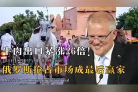 澳洲牛肉遭灭顶之灾？俄罗斯补位成最后赢家，牛肉出口暴涨26倍！视频封面